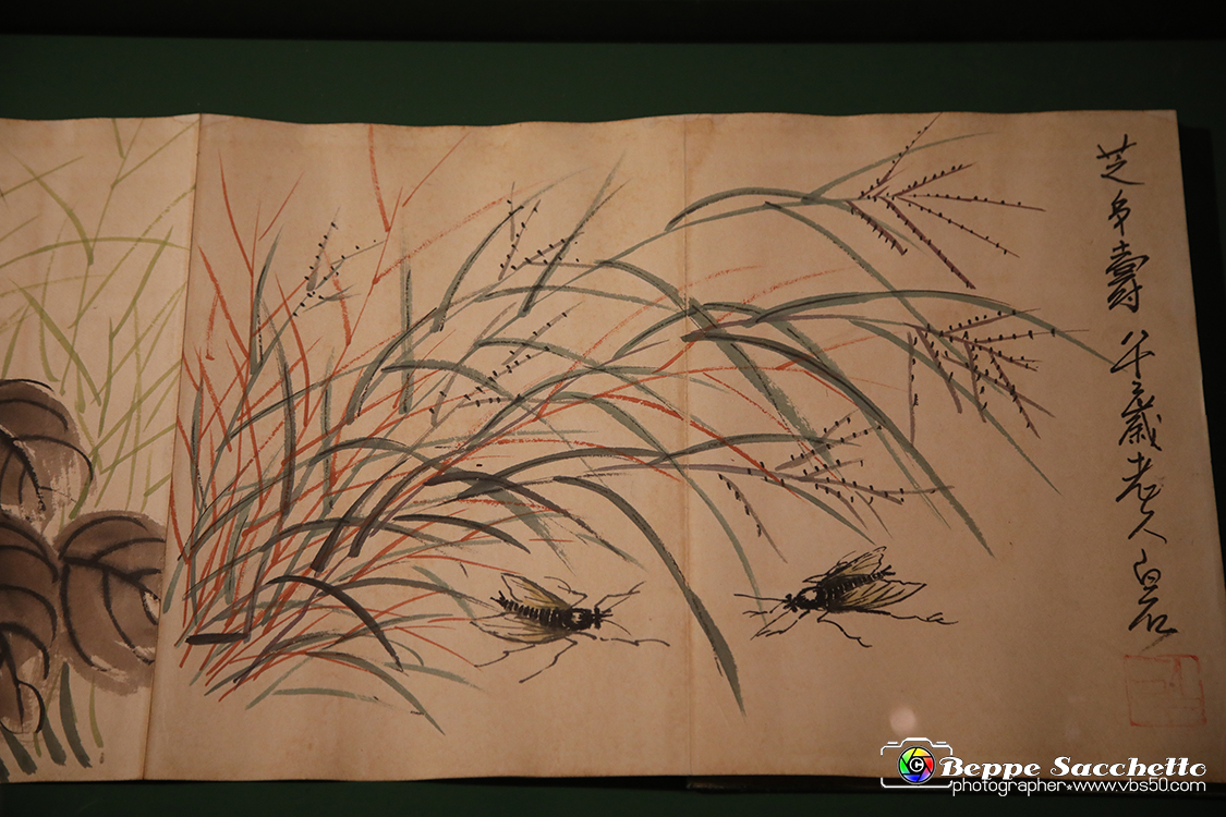 VBS_1706 - Castello di Miradolo - Mostra Oltre il giardino l'Abbecedario di paolo Pejrone.jpg